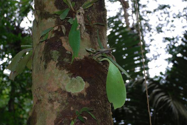 Habit