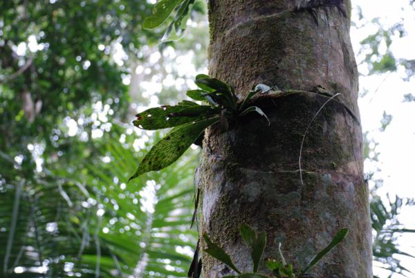 Habit