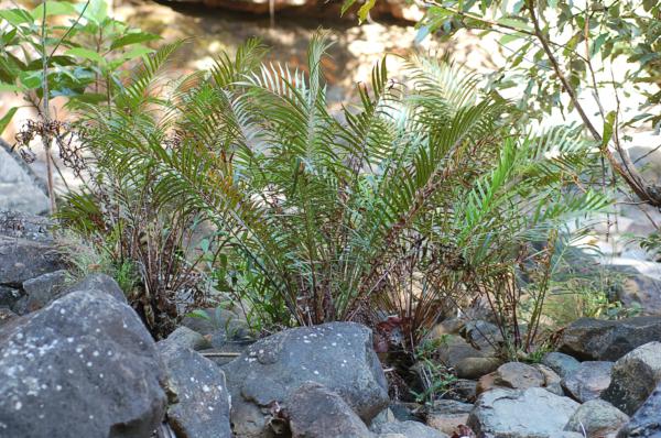 Habit