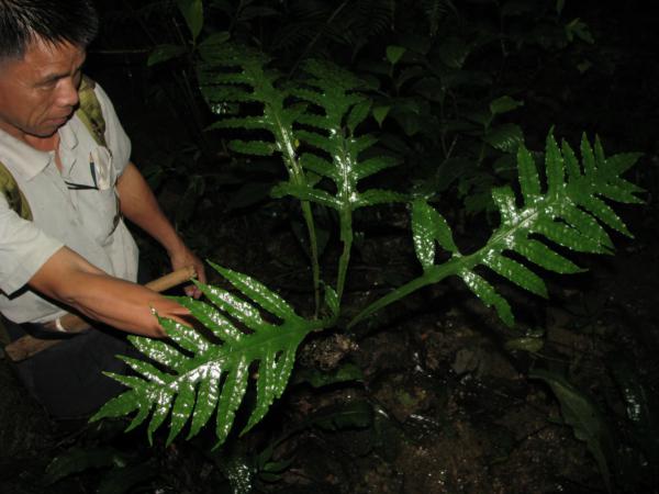 Habit