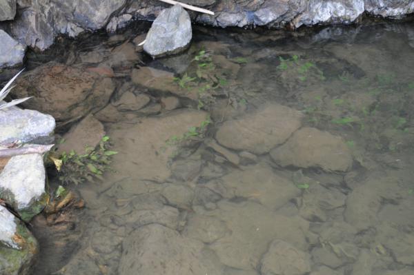 Toleration of submersion