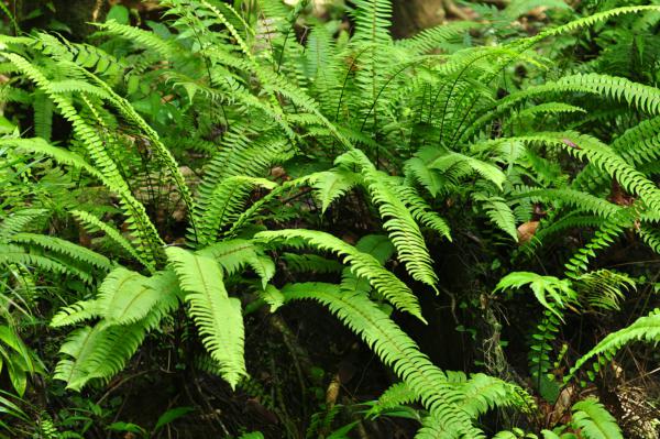 HAbit