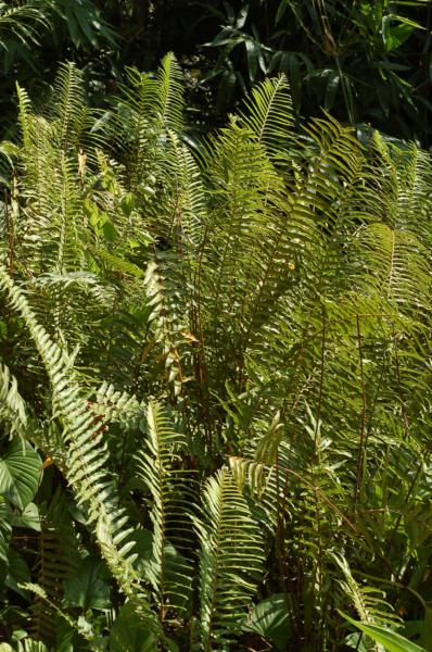 Habit