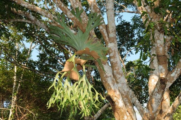 Habit