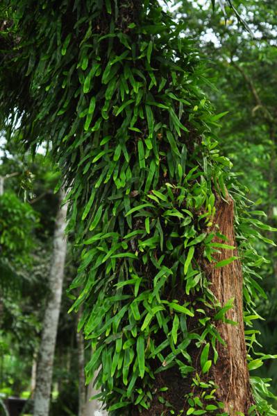 Habit
