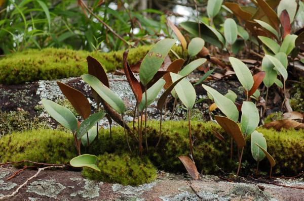 Habit