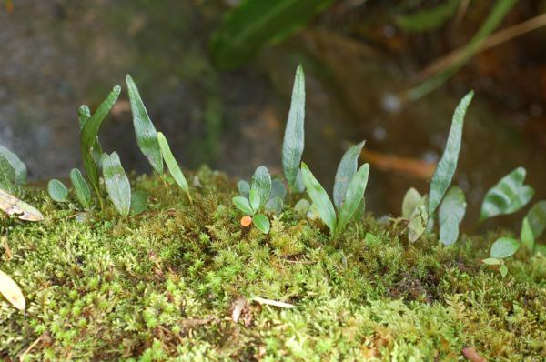 Habit