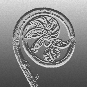Fern Crozier