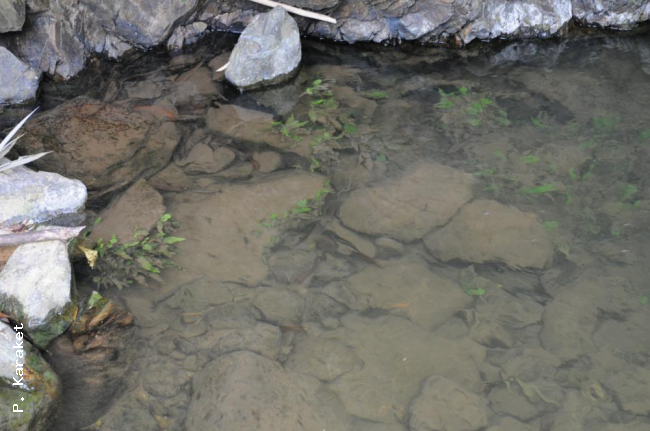 Toleration of submersion