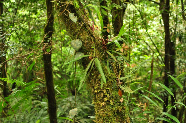 Habit